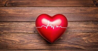 Photo Cardiovascular Health