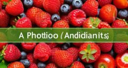 Photo antioxidants