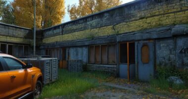 Photo steroid half life