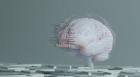 Photo muscle memory science