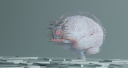 Photo muscle memory science