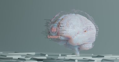 Photo muscle memory science