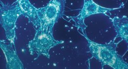 Photo satellite cells