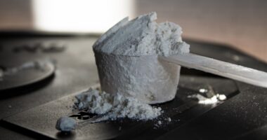 Photo muscle protein turnover