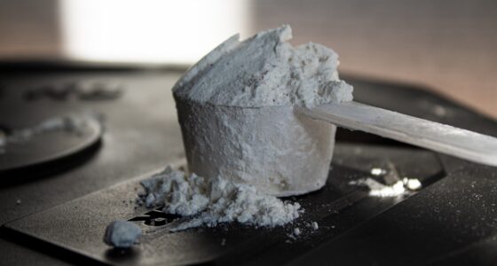 Photo muscle protein turnover